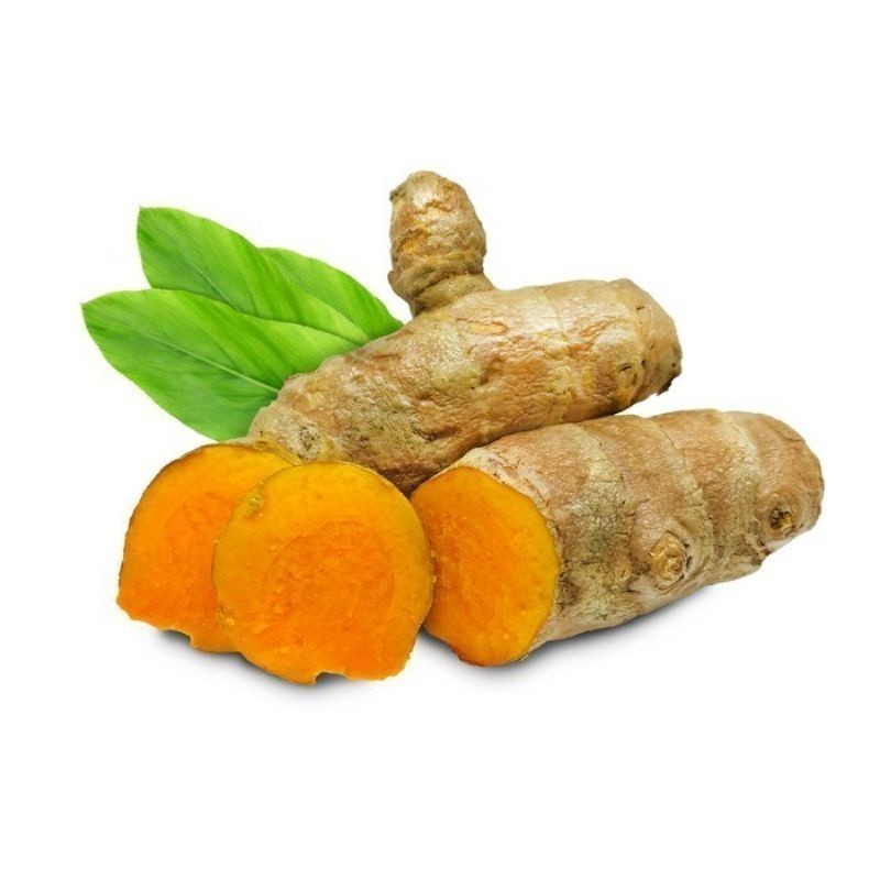 

New Promo 1 kg Temulawak Temu Lawak Segar Organik (SRH)