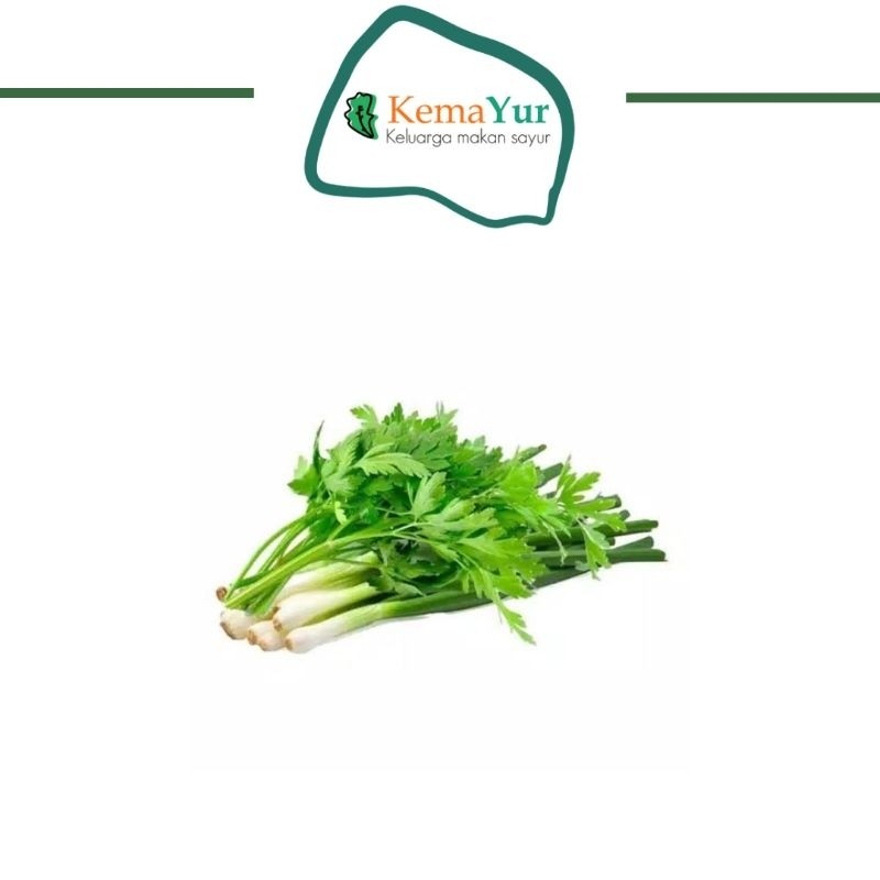 

DAUN PRE MIX SELEDRI