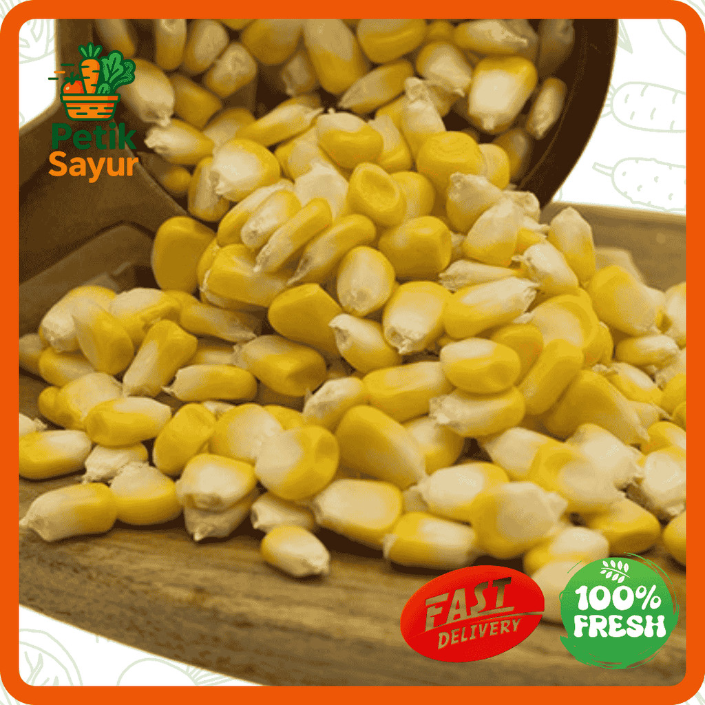 

Jagung Manis Pipil Konvensional 500 gram PetikSayur