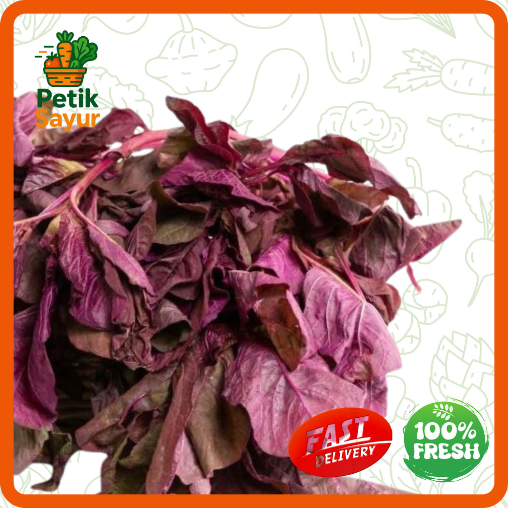 

Bayam Merah Konvensional 250 gram PetikSayur