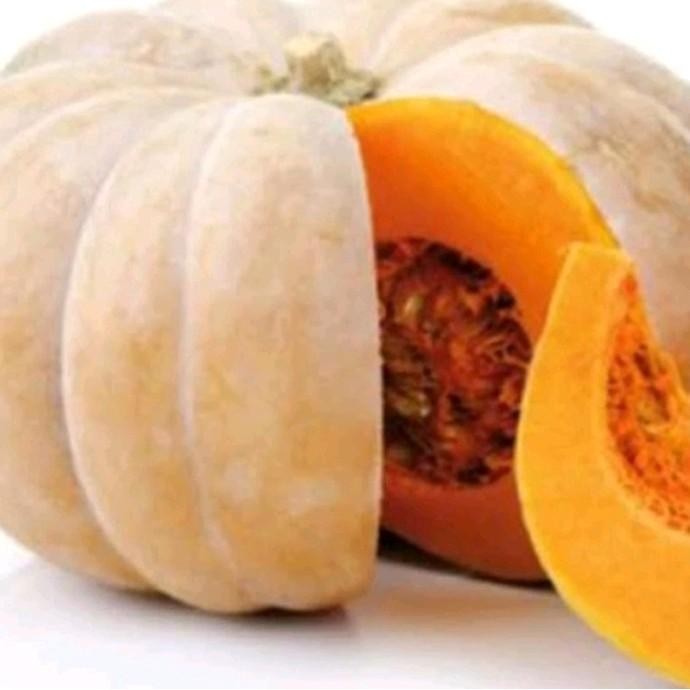 50+ Benih Waluh / Labu Kuning Besar Mudah Tumbuh