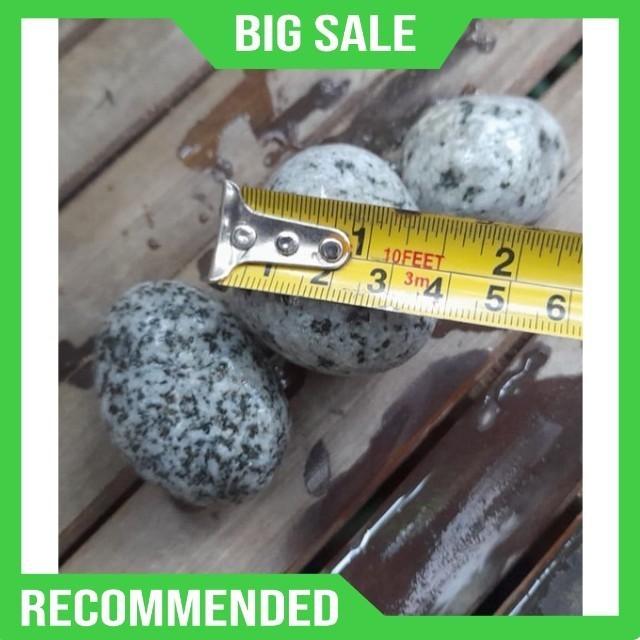 Batu Coral Hias Telur Puyuh