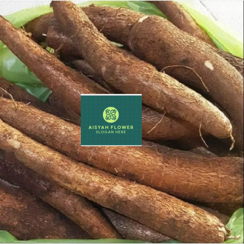 

singkong pulen 1kg/singkong mentega/singkong empuk,manis,dan renyah super murah ready gys