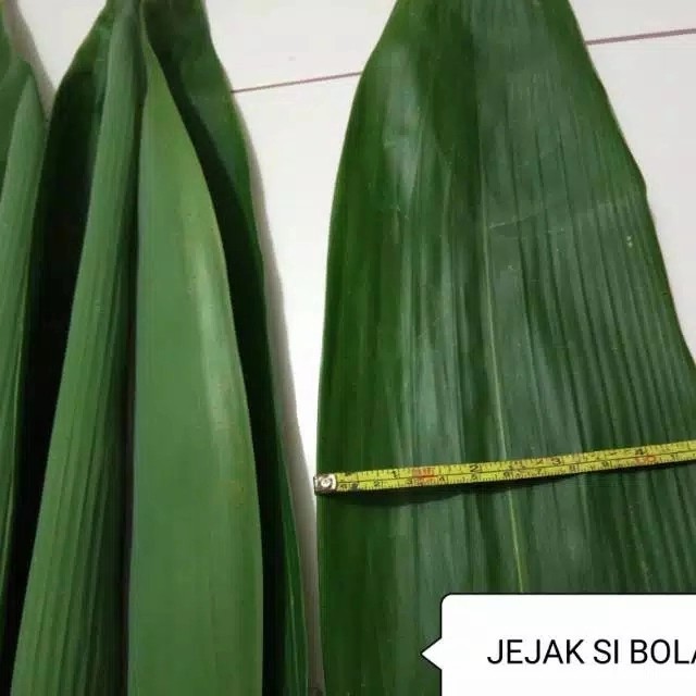 

daun bambu bungkus bacang jumbo
