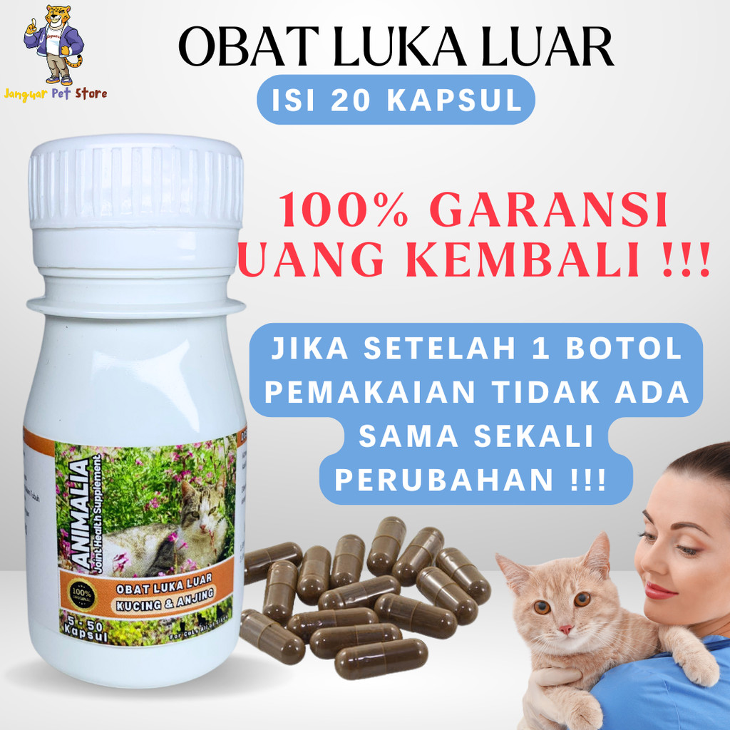 OBAT LUKA KUCING EKSTRAK IKAN GABUS  SUPLEMEN PENYEMBUH LUKA KUCING TERBUKA BASAH BERANTEM BERNANAH 