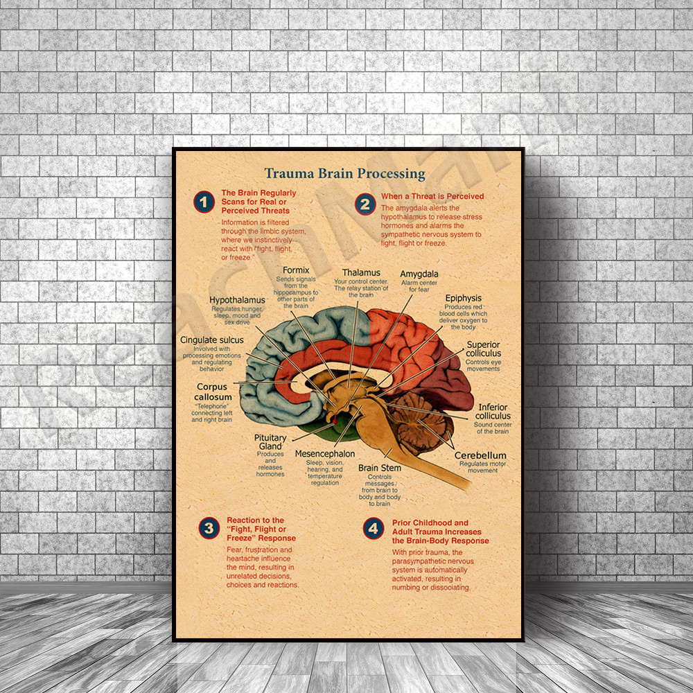 

Traumatic brain processing vertical poster, brain anatomy wall art, therapist psychologist instruction wall decoration