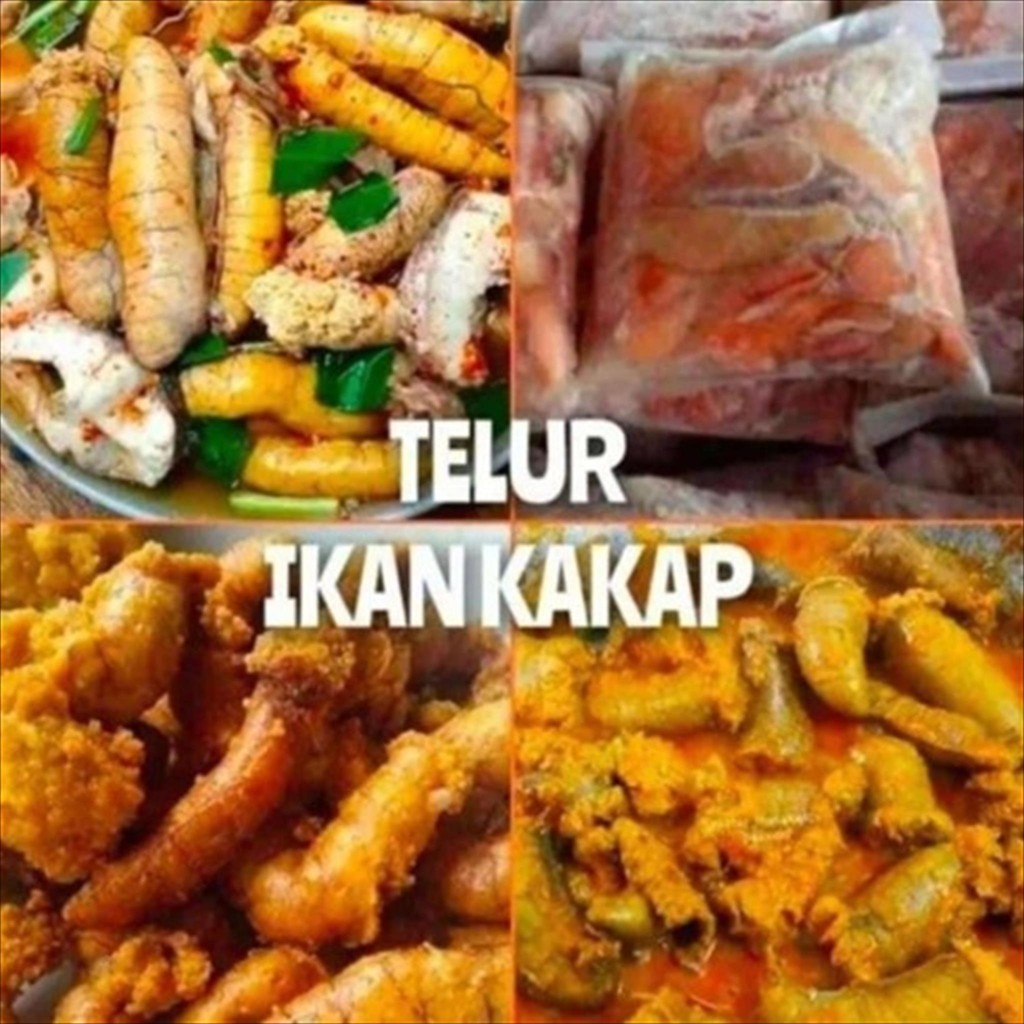 

TELUR IKAN KAKAP 500 GR (FROZEN) - BEST SELLER