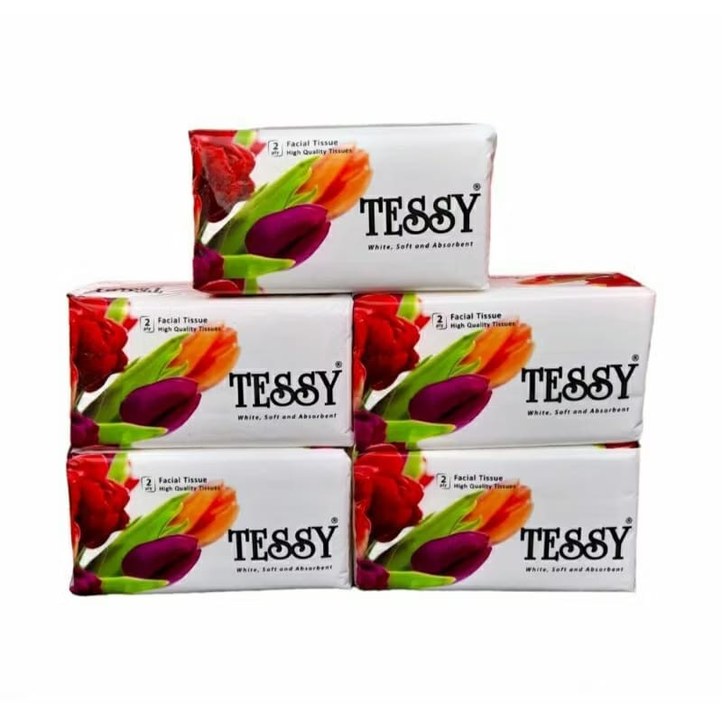Ay00 Paket Tissue Tessy 250 Sheets 2 Ply isi 5 Packs