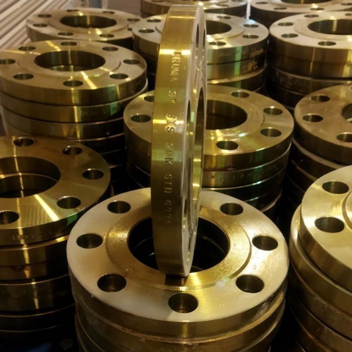 Flange Besi 12" Inch JIS 20K Carbon Steel DN300