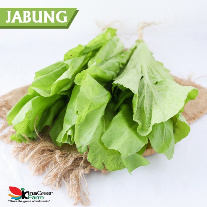 

Inagreen Farm Bandung Sayur Jabung / Sawi Pahit