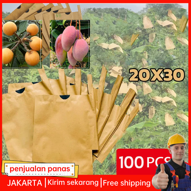 100PCS Fruit Cover/Pembungkus Buah/Fruit Cover Anti Serangga/Kantong Jaring Pembungkus/Buah Anggur/ 