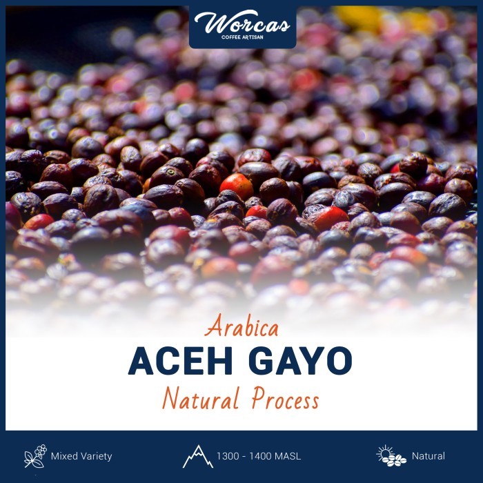 

Green Bean Arabica Aceh Gayo Natural Process 1Kg (Biji Kopi Mentah)