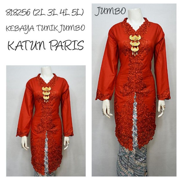 ✨LARIS✨ -Indah KEBAYA JUMBO ENCIM TUNIK LENGAN PANJANG BORDIR SENADA KATUN