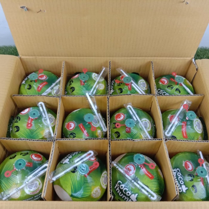 

kelapa coco thumb thailand ISi 4pcs 6pcs dan 12pcs per box