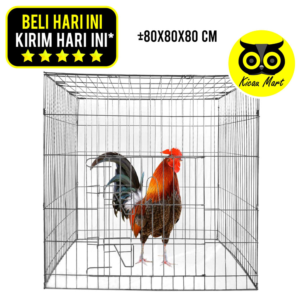KICAU MART KURUNGAN AYAM GALVANIS KOTAK SANGKAR KANDANG BESI LIPAT KURUNG KURUNGAN AYAM JAGO LAGA