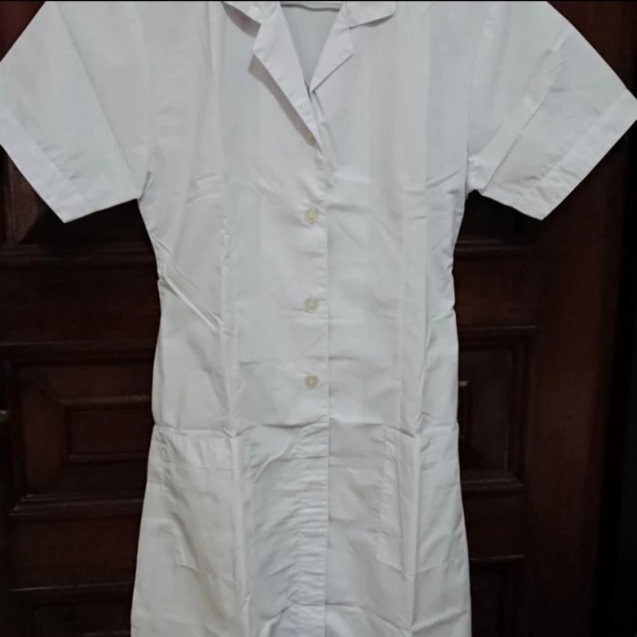 seragam baju suster baby sitter perawat wanita bermacam model - dress-baju