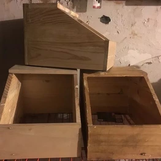 kotak beranak kelinci jati belanda nest box