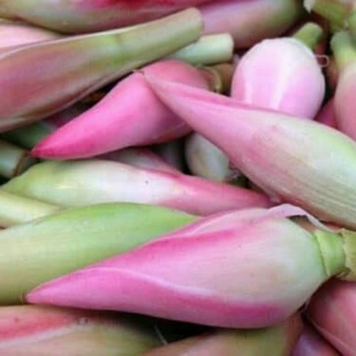 

COD bunga kecombrang atau combrang 200 grm Terlaris ready