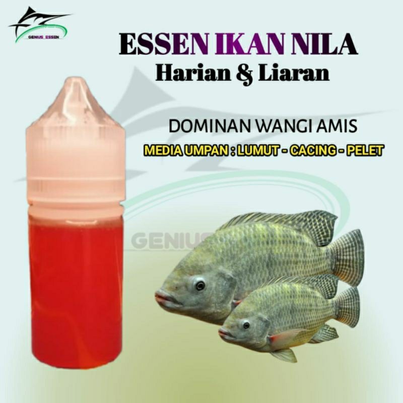 Essen Ikan Nila Essen Ikan Nila Galatama Essen Ikan Nila Liaran Essen Ikan Nila Babon Essen Ikan Nil