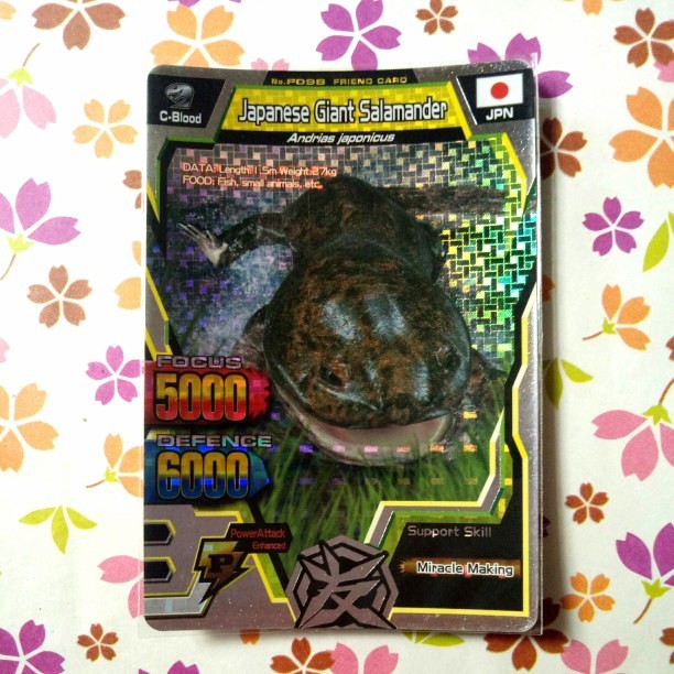 Strong animal kaiser silver friend japanese giant salamander s2