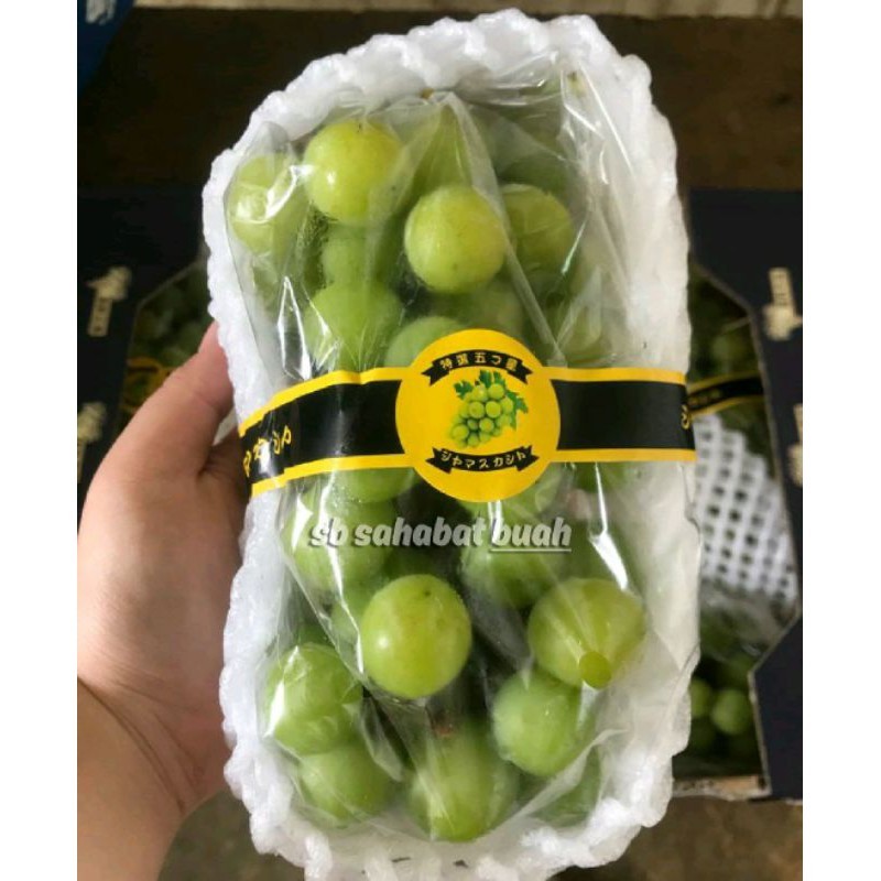

BUAH ANGGUR HIJAU JEPANG SHINE MUSCAT ud buah tiga saudara