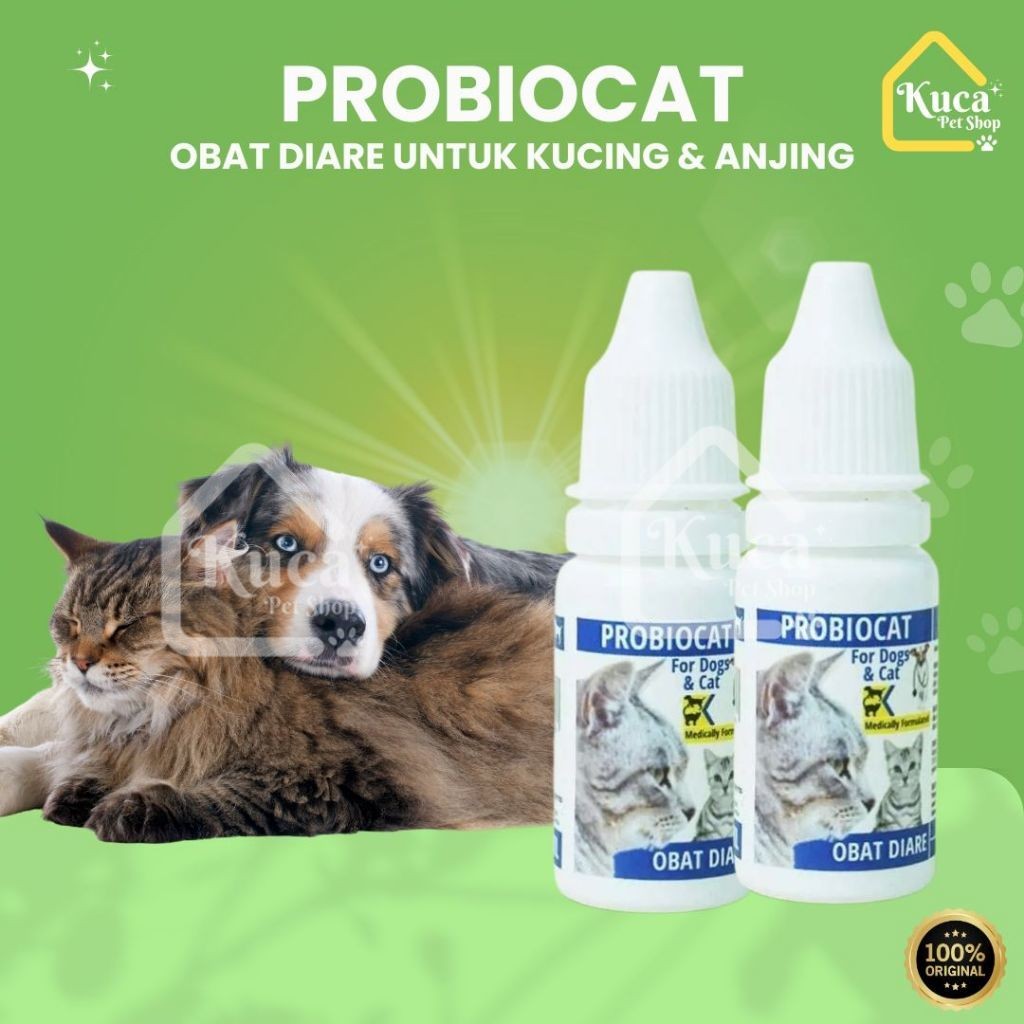 Obat Diare Kucing Obat Berak Darah Kucing Probiocat Alami Original