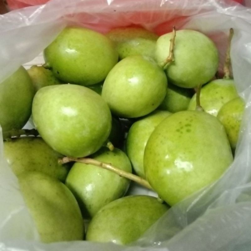 

MANGGA MUDA RUJAK ready stok per 1Kg isi DAGING PUTIH