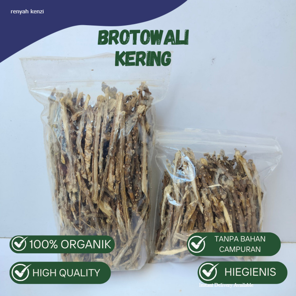 

Brotowali Kering Organik