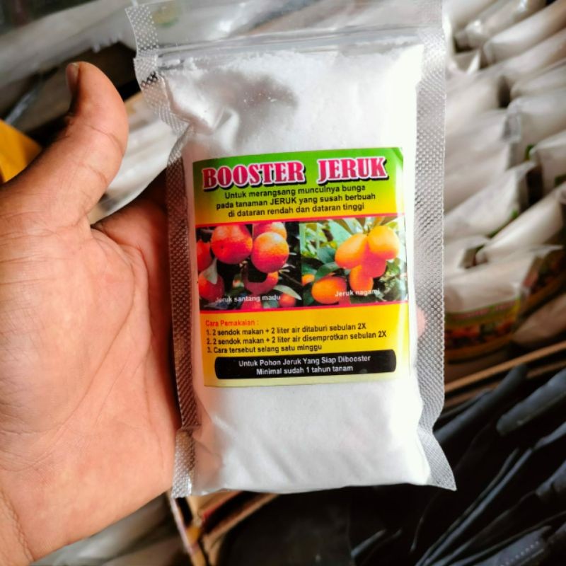 Booster perangsang bibit jeruk buah cepat buah bunga
