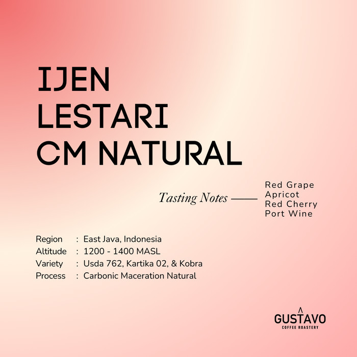 

Biji Kopi Arabika IJEN LESTARI CM NATURAL Single Origin Gustavo - 100gr