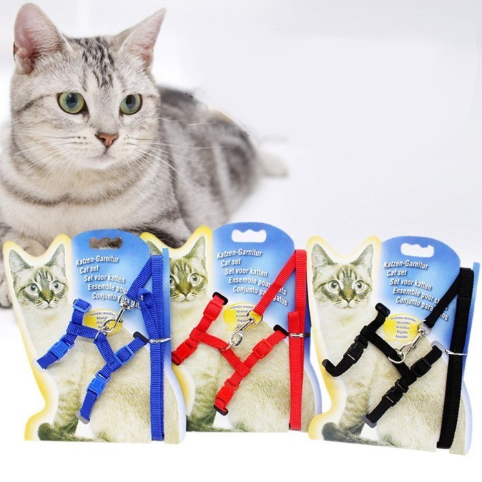 [New Arrival] HARNES KUCING HARNESS ANJING KECIL MODEL H HARNESS MUSANG - Biru