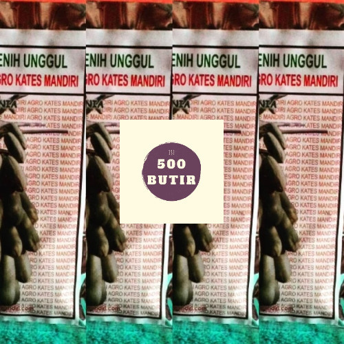 Bibit pepaya california ipb9