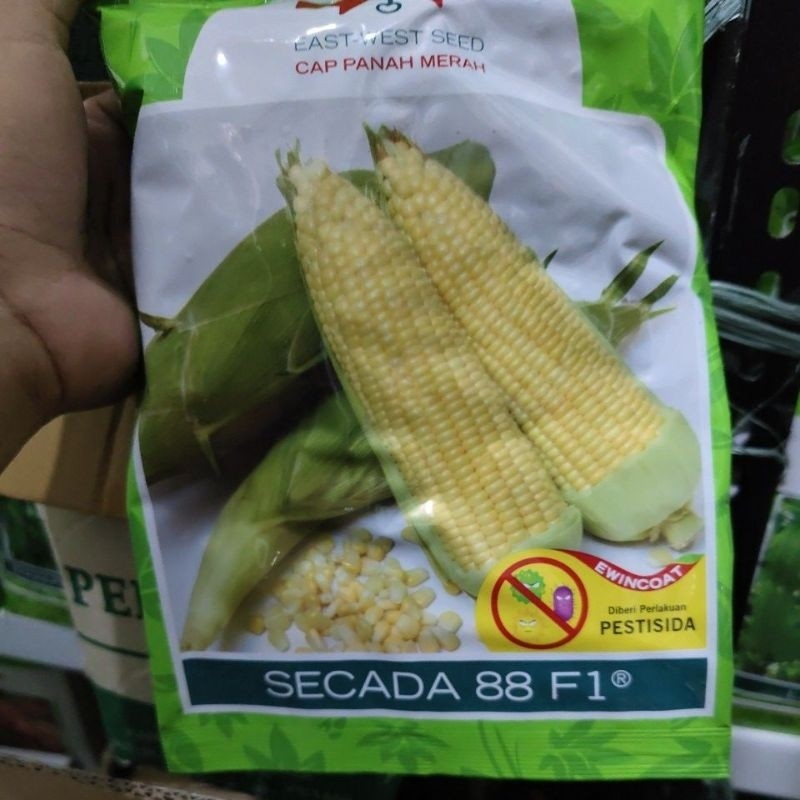 TE67H Benih jagung manis SECADA 88 F1 1750 butir dari panah merah secada