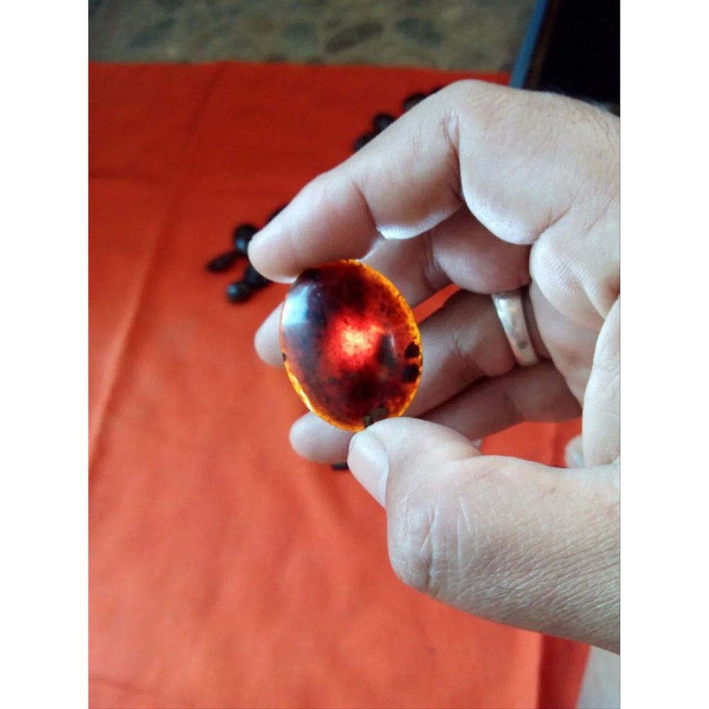 MAKRIFATBUSINESS Mata cincin batu KECUBUNG API Aceh bulat oval jumbo 16
