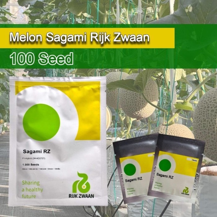 Benih Melon Rijk Zwaan Sagami Melon Premium RZ Kemasan Repack 100 Butir