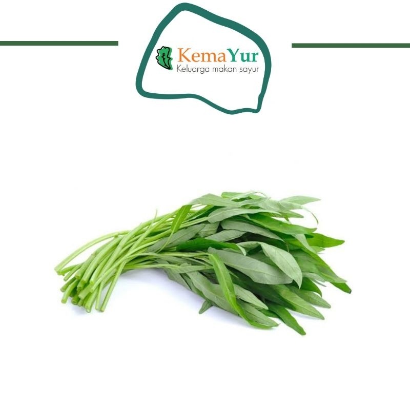 

SAYUR KANGKUNG FRESH 1IKAT BRKAH