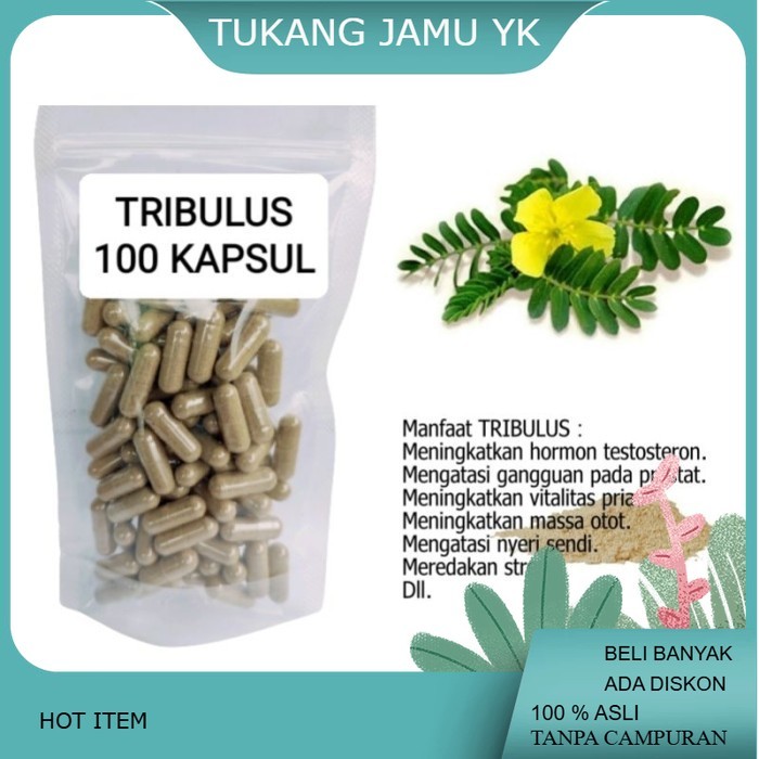 . Kapsul TRIBULUS isi 100 kapsul