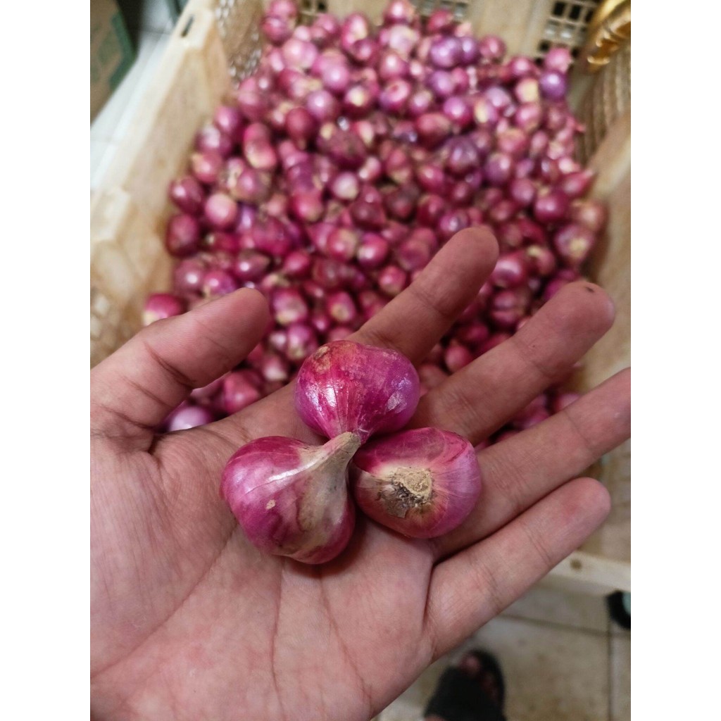 

Bawang merah Bumbu dapur siap pakai untuk segala kebutuhan memasak anda tersedia dengan isi 3 biji dan seperempat