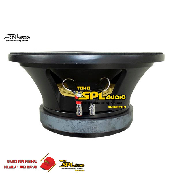 SPL Audio Speaker 10 Inch L10/850YK