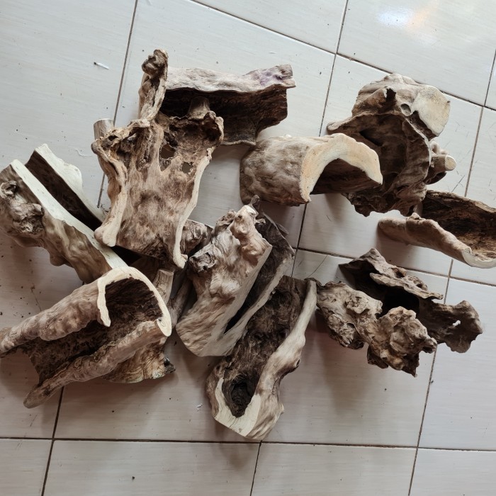 SALE -Kayu kopi tarantula hiding cave