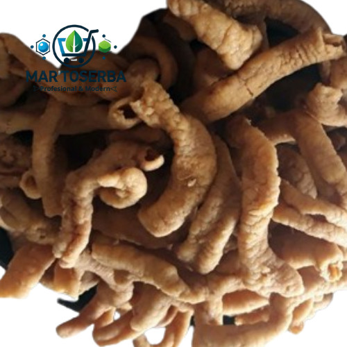 

MT KERIPIK USUS AYAM BAWANG 250g Keripik Usus Crispy Usus Kering Usus Crispy Kriuk Cemilan Terlaris