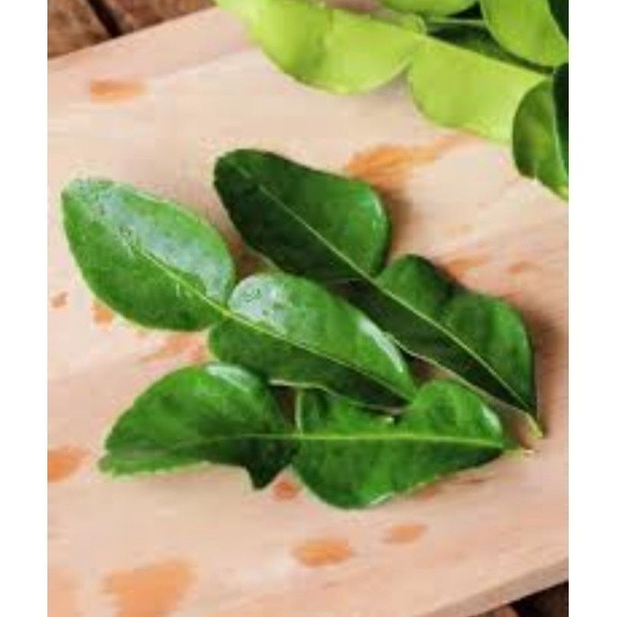 

daun jeruk purut untuk masakan