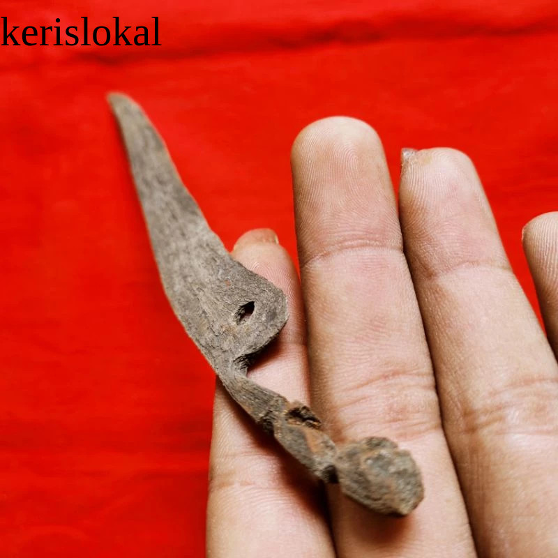 Koleksi Putut Kujang Rencong Lawas Antik Pamor Mrambut KL8