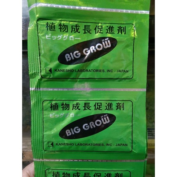 Big grow 5 gram pembesar buah