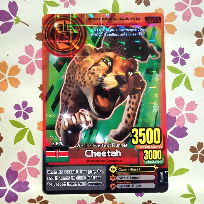 animal kaiser normal cheetah evo 1