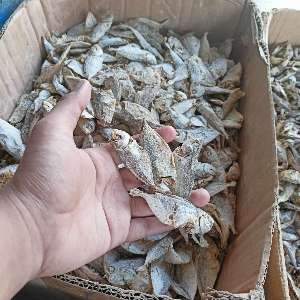 

ikan asin rebus selar mentah siapa sak untuk lauk makan terutama untuk nasi liwet isi bersih per 1 pembelian 250 gram