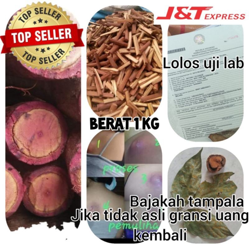 

1 kg Kayu Bajakah tampala merah super