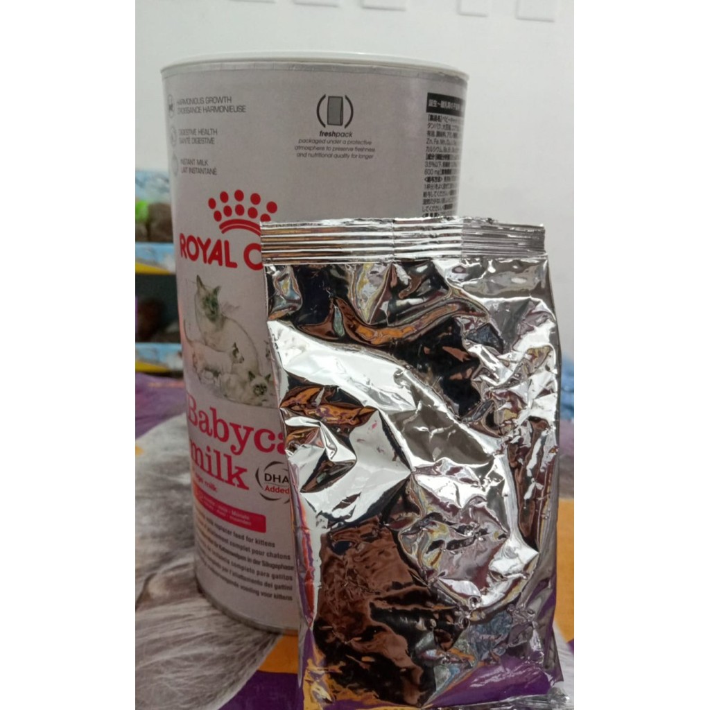 Susu kitten royal canin baby sachet anak kucing