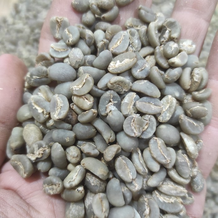 

Green Bean Arabica Gayo Semi Wash(wet hull)1000 gr (biji mentah)