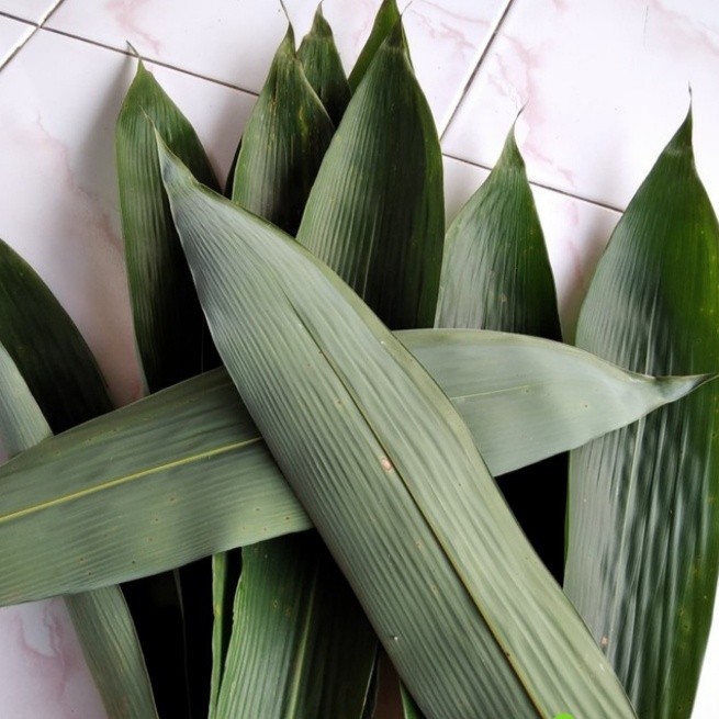 

( promo) Daun Bambu Besar khusus Bakcang